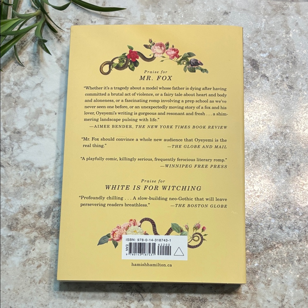 Boy, Snow, Bird Novel by Helen Oyeyemi; Fiction; African American; Literature - Picture 2 of 5